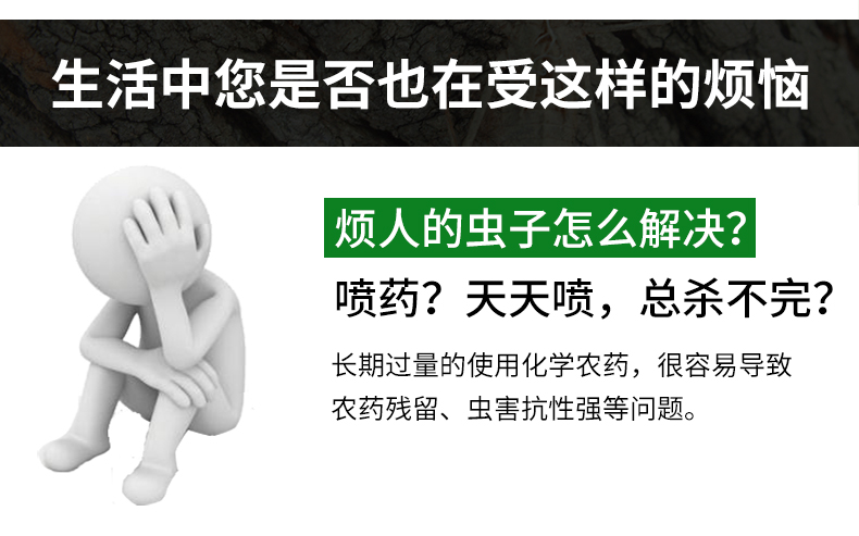 风吸式杀虫灯(图3)