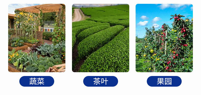 全自动孢子捕捉仪(图33)